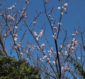 つれづれ334 日々の活動2 つれづれ334 日々の活動2