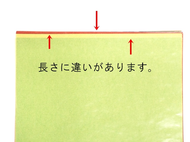 特価TPP2020サイズ