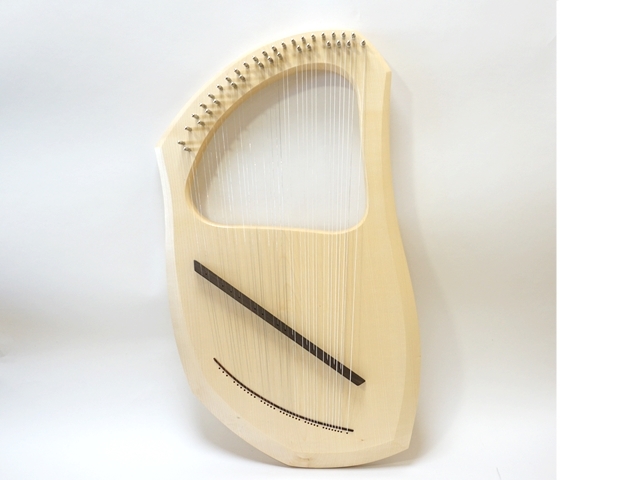 アウリスライア３５弦全体