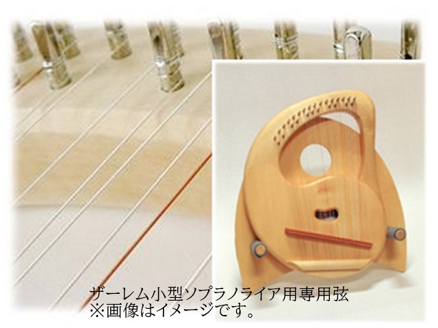 ザーレム小型ソプラノ専用弦