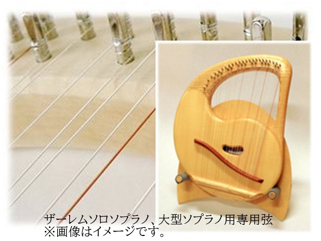 ザーレムソロソプラノ大型ソプラノ専用弦