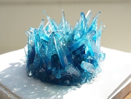 スタッフブログ261