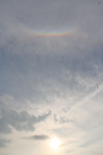 104 虹を探しに：お日さまの周りの虹たち