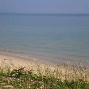 つれづれ365 海の観察 つれづれ365 海の観察