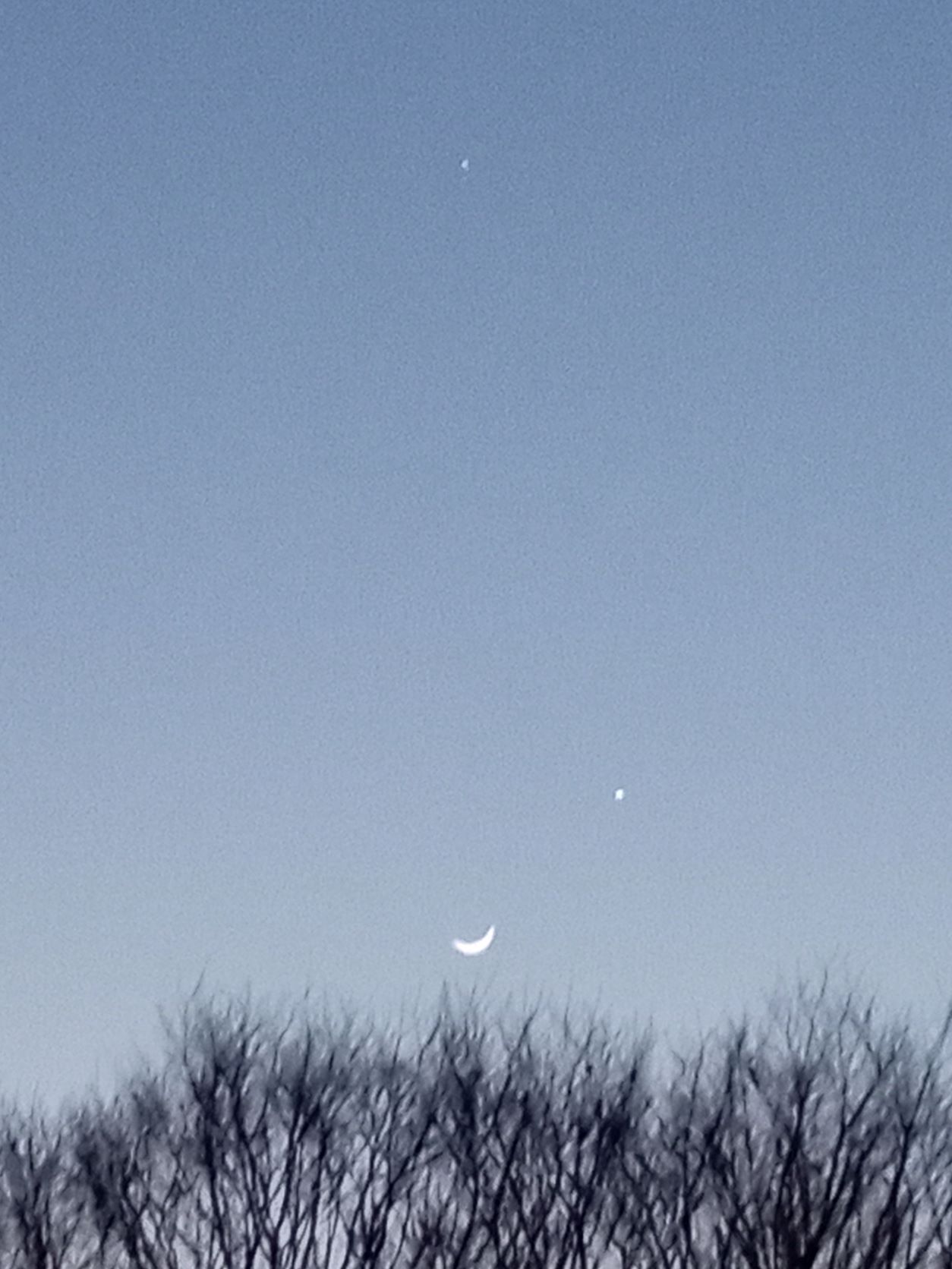 つれづれ 455星の大きさ
