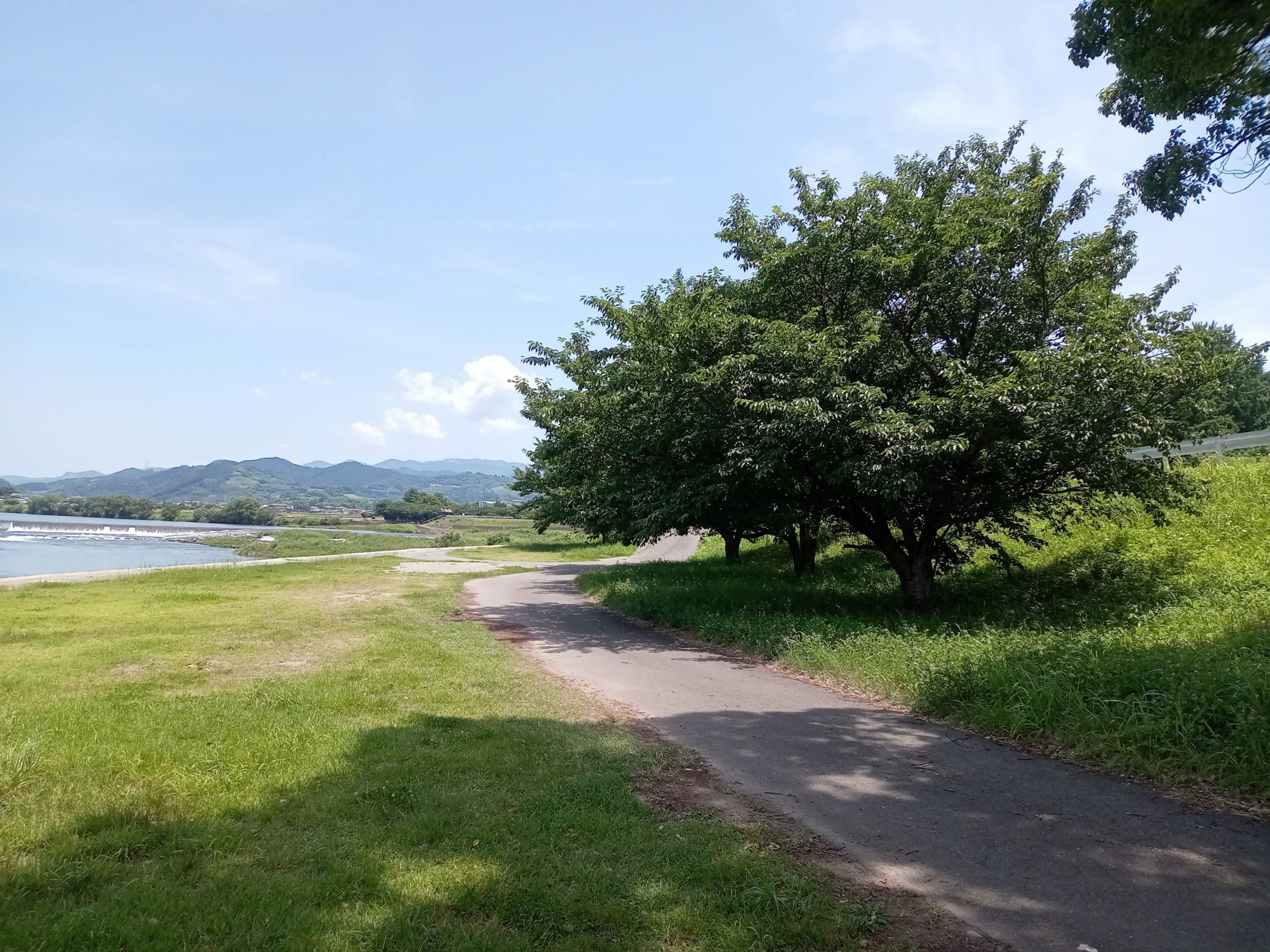 つれづれ509 梅雨ですね。