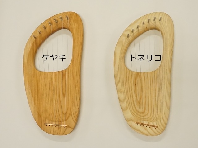 トネリコとケヤキの木目比較